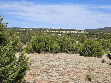 0 County Rd A-102 unit 14, Tajique, NM 87016 - photo 7