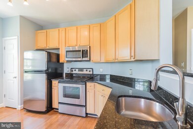 22611 Blue Elder Terrace unit 202, Ashburn, VA 20148 - photo 7