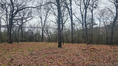 106 Patriot Pointe, Eufaula, OK 74432 - photo 6