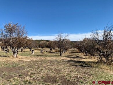 23687 Ute Trail Rd, Cedaredge, CO 81413 - photo 7