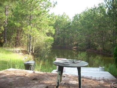 Pond