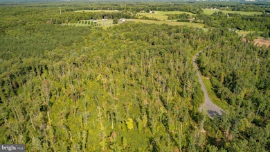 15C Joshuas Way, Unionville, VA 22567 - photo 6