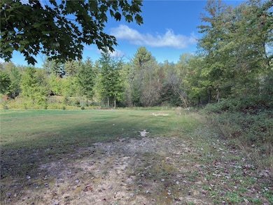 N8188 954th St, Colfax, WI 54730 - photo 7