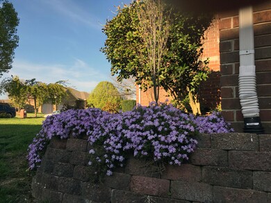 side-yard