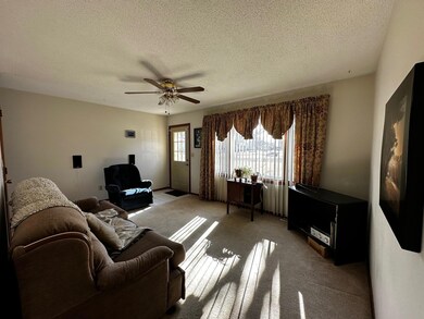 1701 Galen St SW, Alexandria, MN 56308 - photo 5