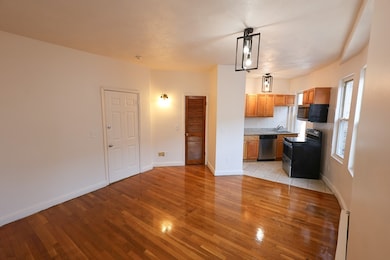 1 Kenilworth St unit 3, Boston, MA 02119 - photo 4