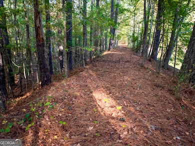 36+ ACRES Wadley St, Greenville, GA 30222 - photo 6