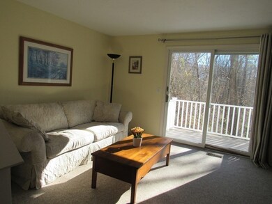 278 Manning St unit 801, Hudson, MA 01749 - photo 7