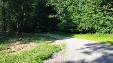 20150803_175331 (800x450)