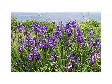 426 E Shore Rd, Jamestown, RI 02835 - photo 5