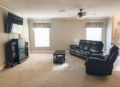 Entry view/living room.