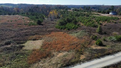 dji_fly_20241111_111634_609_173134186952