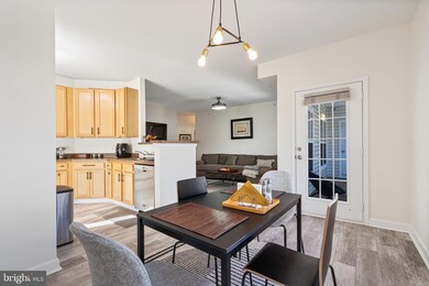 22641 Blue Elder Terrace unit 302, Ashburn, VA 20148 - photo 6