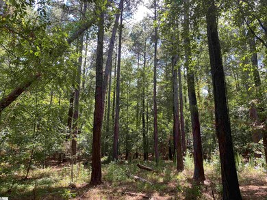 0 Sandy Springs Rd, Pelzer, SC 29669 - photo 6