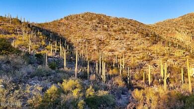 2661 E Calle Sin Ruido unit 204, Catalina Foothills, AZ 85718 - photo 2