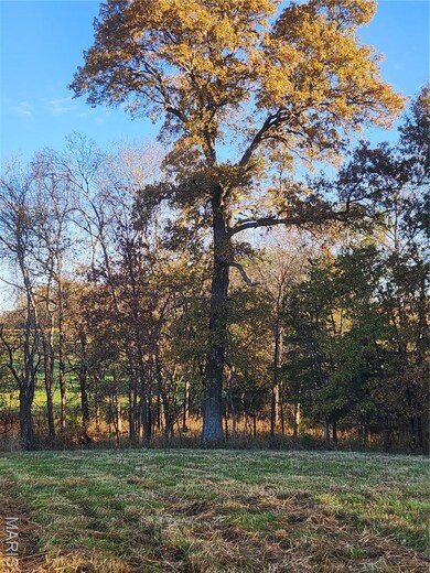 0 County Road 197 (5+ - Acres) unit MIS25074297, Montgomery City, MO 63361 - photo 5