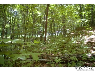 0 Roaring Fork Rd unit NCM579079, Burnsville, NC 28714 - photo 3