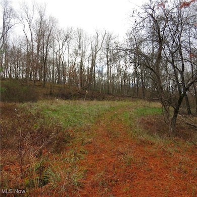 2245 Scroll Rd SW unit 17, Carrollton, OH 44615 - photo 7