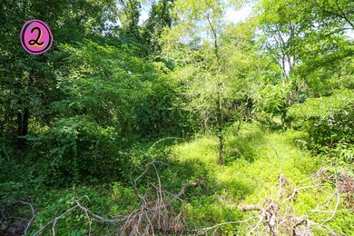 0 Birdella Ln, Michigan City, IN 46360 - photo 4