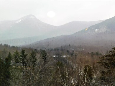 90 Loon Mountain Rd unit 1125A, Lincoln, NH 03251 - photo 6