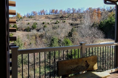 33 Blue Bird Way unit 6, Branson, MO 65616 - photo 6