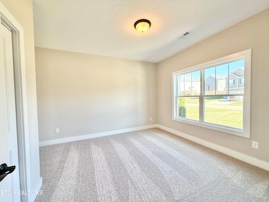 3207 Song Sparrow Dr, Maryville, TN 37803 - photo 5