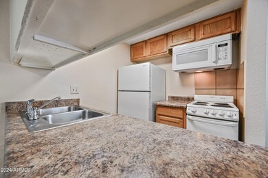 3141 E Cypress St unit 12, Phoenix, AZ 85008 - photo 6
