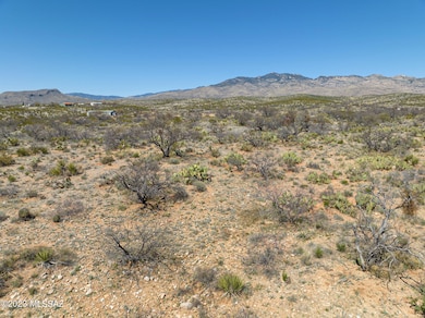 Beautiful Desert Landscape