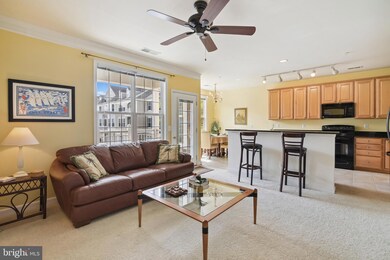 1507 Broadneck Place unit 201, Annapolis, MD 21409 - photo 3
