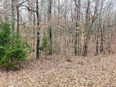 Tbd Us Highway 160, Tecumseh, MO 65760 - photo 4