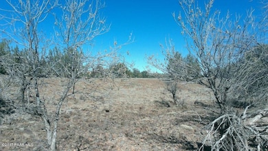 87 Acres, Ash Fork, AZ 86320 - photo 7