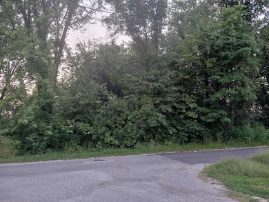 700 Boston St unit 181, 182, 183, 184, Bicknell, IN 47512 - photo 2