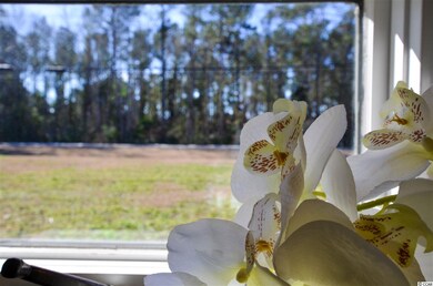 3679 Spruce Dr unit 3279, Myrtle Beach, SC 29577 - photo 7