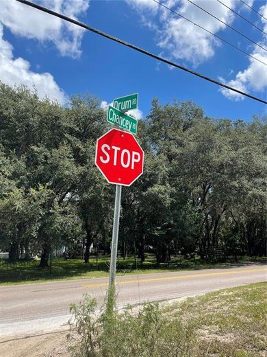 0 Drum Rd, Zephyrhills, FL 33541 - photo 7