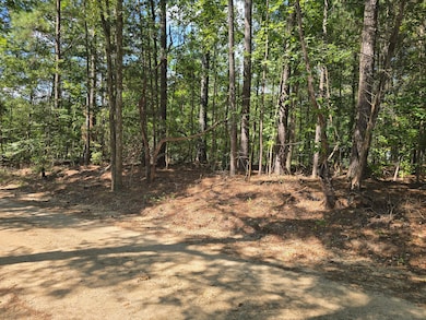 15 Dyches Rd, Grovetown, GA 30813 - photo 3