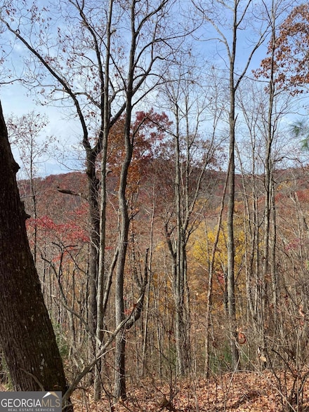 L334 335 Brushy Top Dr Unit 334 335, Ellijay, GA 30540