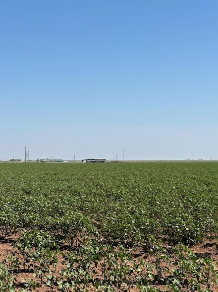0 F M 2192, Wilson, TX 79364