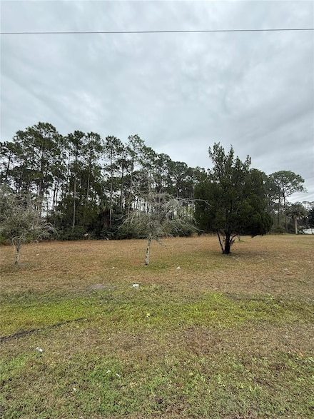 245 Ullian Trail, Palm Coast, FL 32164