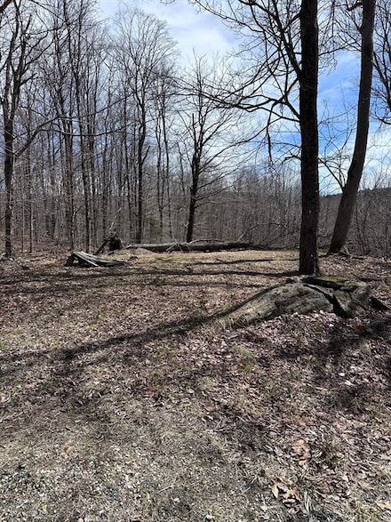 27 South Rd, Peru, MA 01235
