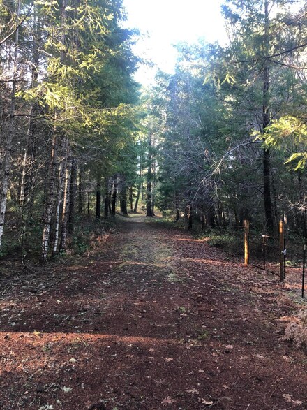 0 Idlewild Dr, Cave Junction, OR 97523