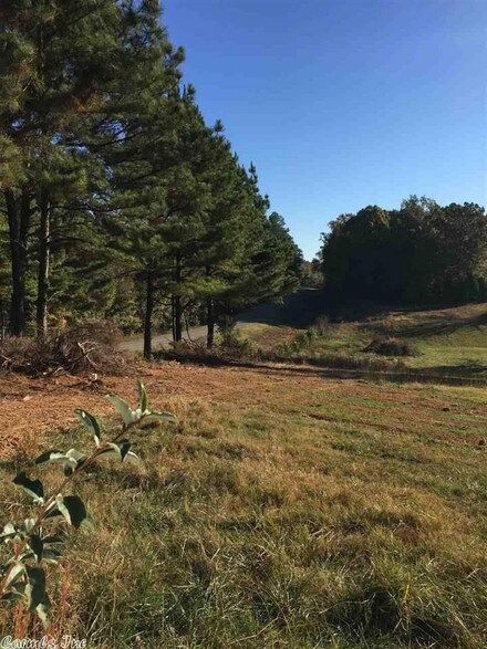 38.58 Acres County Road 318, Bono, AR 72416