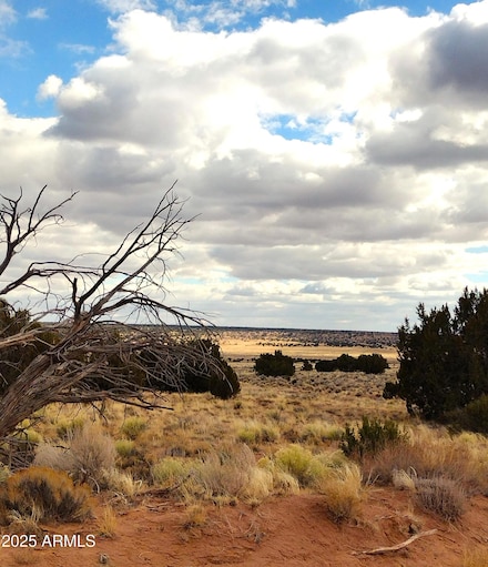 Lot 271 Red Sky Ranch -- Unit 271, Saint Johns, AZ 85936