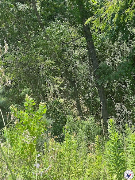 LOTS Hawkins, Wake Village, TX 75503
