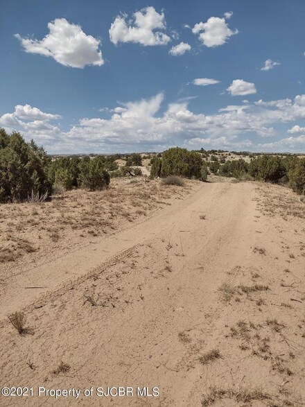 NYA Lonesome Dove Dr, Aztec, NM 87410