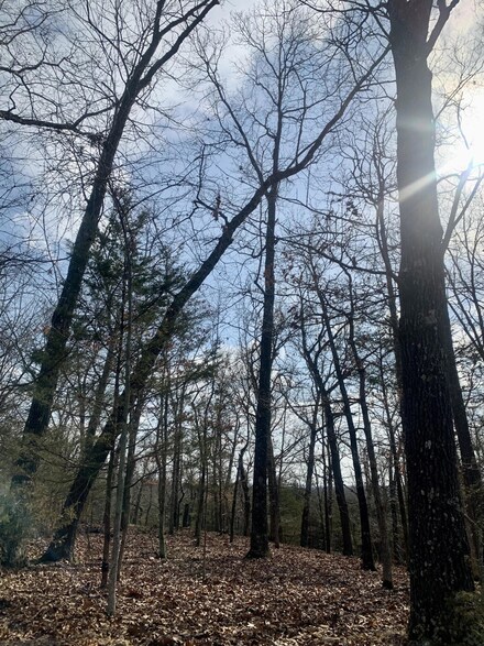 Lot 8 Farm Road 2232, Golden, MO 65658