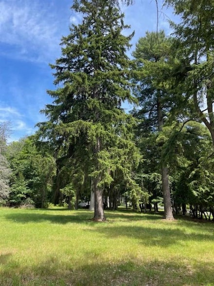 580 W Bluff Dr Unit Parcel A, Harbor Springs, MI 49740