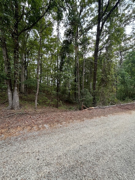 0 Tracie Rd, Gore Springs, MS 38929