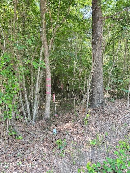 Lot 25 Buckhorn Church, Como, NC 27818