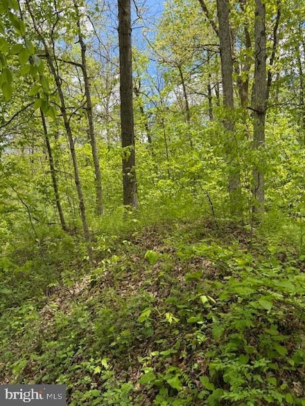 0 Little Wolf Rd, Snow Shoe Township, PA 16829