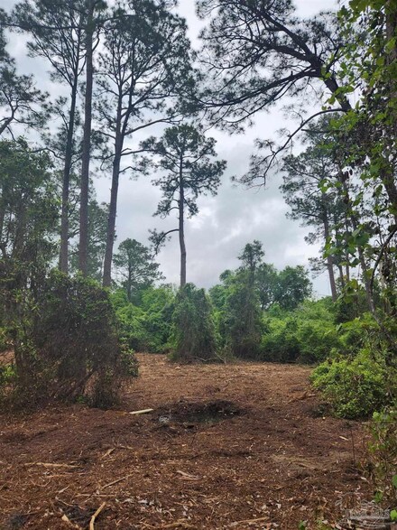 6.7 Acres Bankhead Dr, Bellview, FL 32526